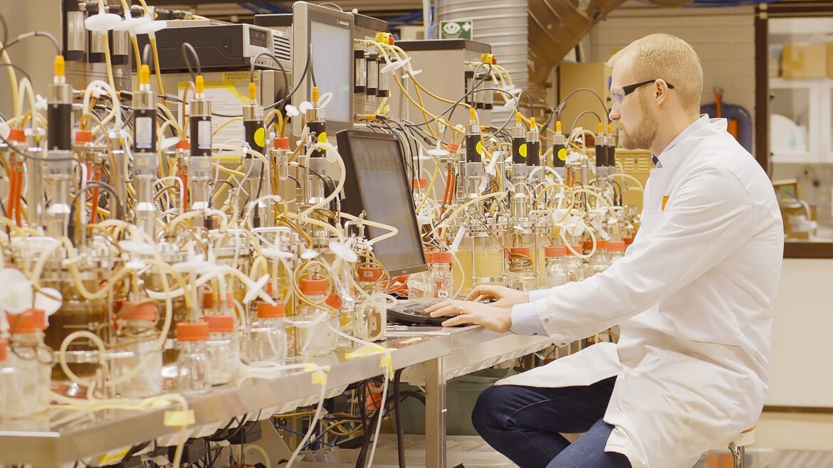 How to Utilize Industrial Biotechnology for Sustainable Manufacturing (2024)