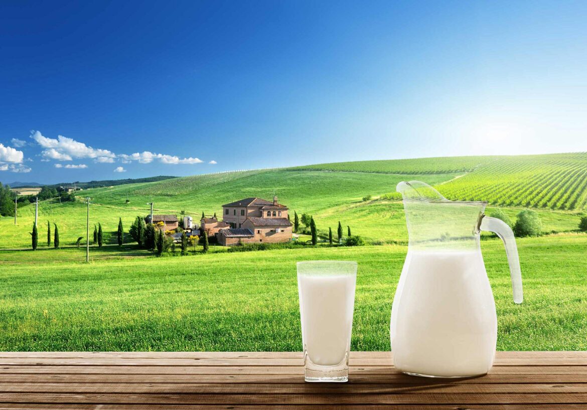 Milk: Nature’s Nutritious Elixir Unveiled