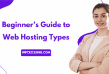 Beginner’s Guide to Web Hosting Types