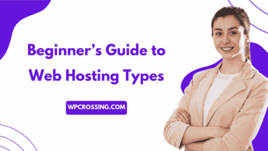 Beginner’s Guide to Web Hosting Types
