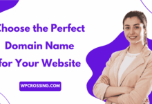 How to Choose the Perfect Domain Name for Your Website WPCROSSING.COM