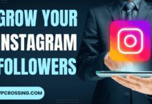 How to Grow Your Instagram Followers Organically