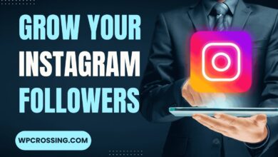How to Grow Your Instagram Followers Organically