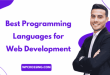 Best Programming Languages for Web Development