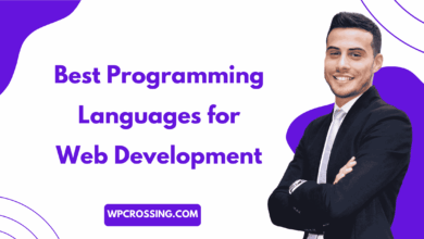 Best Programming Languages for Web Development