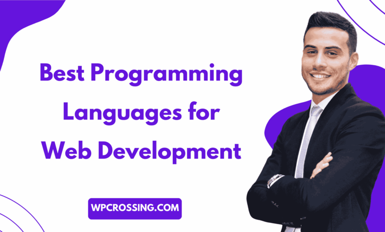 Best Programming Languages for Web Development