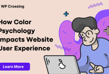 How Color Psychology Impacts Website User Experience