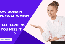 How Domain Renewal Works and What Happens If You Miss It
